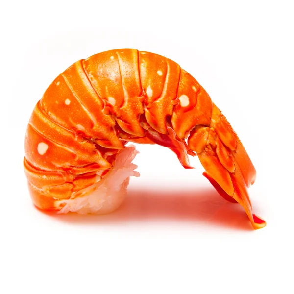 Tropikalny Karaibów homara — Zdjęcie stockowe
