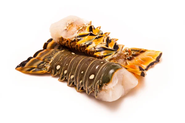 Raw Caribbean rock lobster tails — Stock Photo, Image