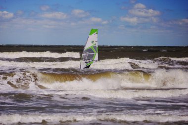 Sahilde küçük deniz kabukları. Kabuğun arkaplanı