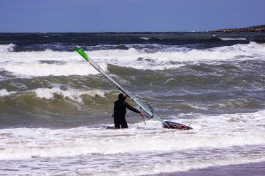 Sahilde küçük deniz kabukları. Kabuğun arkaplanı