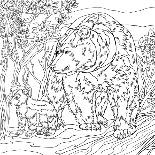 Ormanda bir çift ayı, boyama kitabı. Monokrom versiyonları. Karalama elemanları ile yetişkin anti-stres boyama sayfası için serbest çizim.