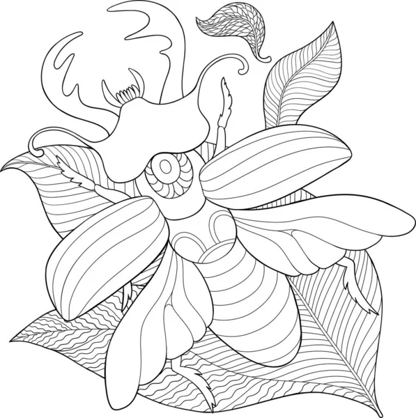 Escaravelho, vetor de esboço desenhado à mão. Desenho em preto e branco, livro para colorir —  Vetores de Stock