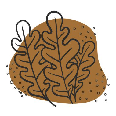 Yaprak çizgi simgesi seti, yapraklar - bitki ögeleri, simgeler