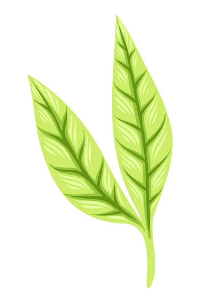 Hojas verdes. Ilustración vectorial Ecología, tendencia natural. — Vector de stock