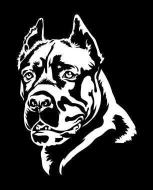 Siyah üzerine Cane Corso köpek portresi çizimi .