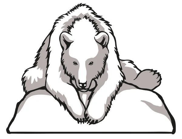 Oso polar blanco. Patrón blanco y negro, adecuado para grabado láser, mascota para imprimir o bordar. — Vector de stock