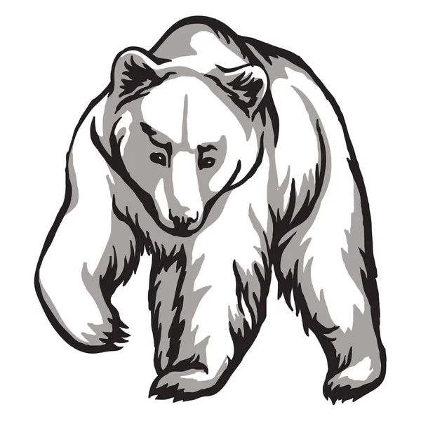 Witte ijsbeer. Zwart-wit patroon, geschikt voor lasergravure, mascotte voor bedrukken of borduren. — Stockvector