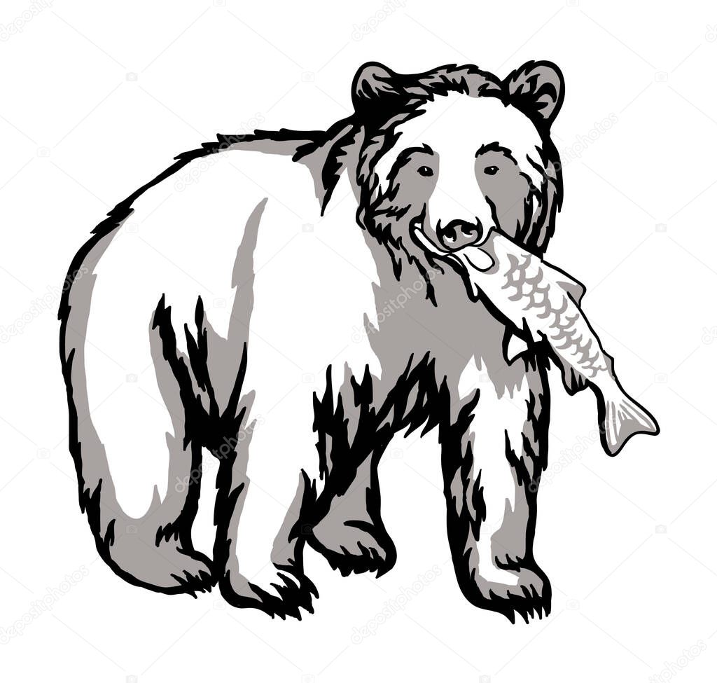 Vector Double exposure, bear for your design, wildlife concept.