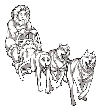 Kızak köpekleri, hayvan yardımcıları. Bir adamı süren köpeklerin doğrusal çizimi, kuzey insanlarının gelenekleri, siyah beyaz çizimler..