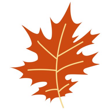 Turuncu sonbahar vektör illüstrasyonunu bırakır. Beyaz arkaplanda yapraklar, grafik simgesi veya yazdırılmış sonbahar Cadılar Bayramı çerçevesi.