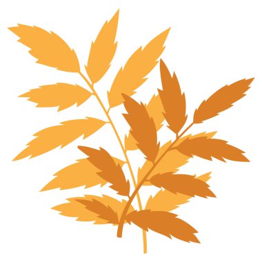 Turuncu sonbahar vektör illüstrasyonunu bırakır. Beyaz arkaplanda yapraklar, grafik simgesi veya yazdırılmış sonbahar Cadılar Bayramı çerçevesi.