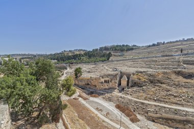 Kudüs sokaklarında.