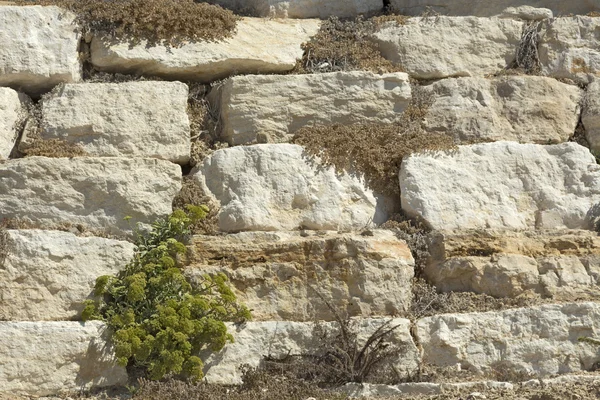 Fragment einer Steinmauer. — Stockfoto