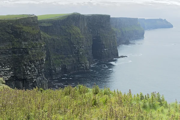 Natura Irlanda . — Foto Stock