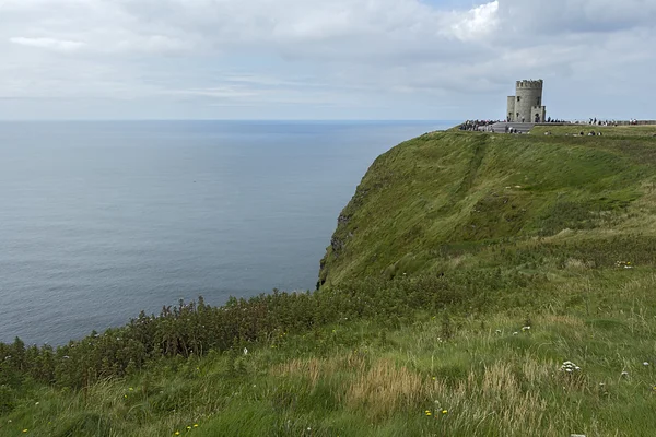 Natura Irlanda . — Foto Stock