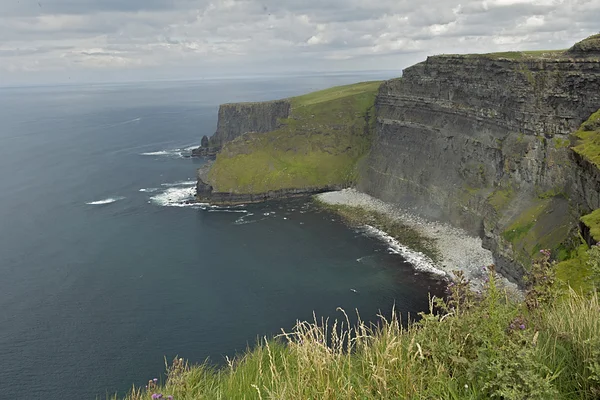 Natura Irlanda . — Foto Stock