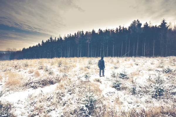 Winter in het bos — Stockfoto