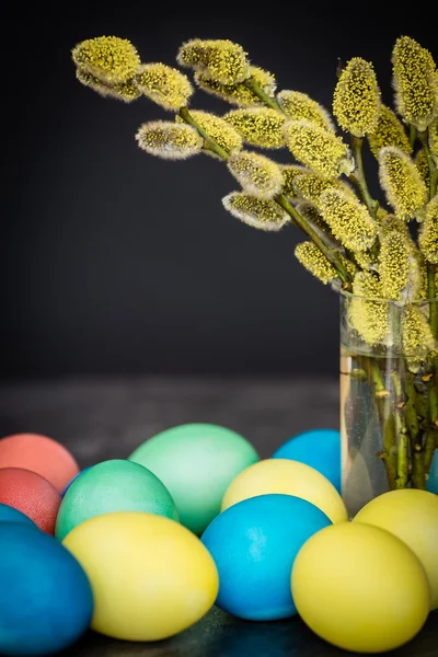 Osterhintergrund mit Eiern und Kätzchen — Stockfoto