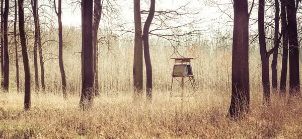 Holzfelle im grünen Wald Stockfoto