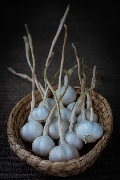 Basket with garlic — Stock Photo, Image