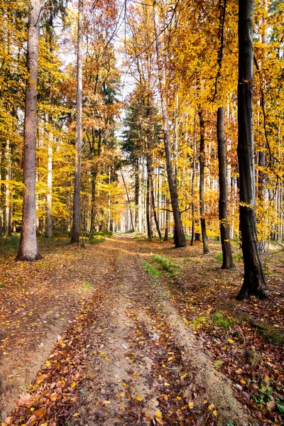 Gångväg — Stockfoto