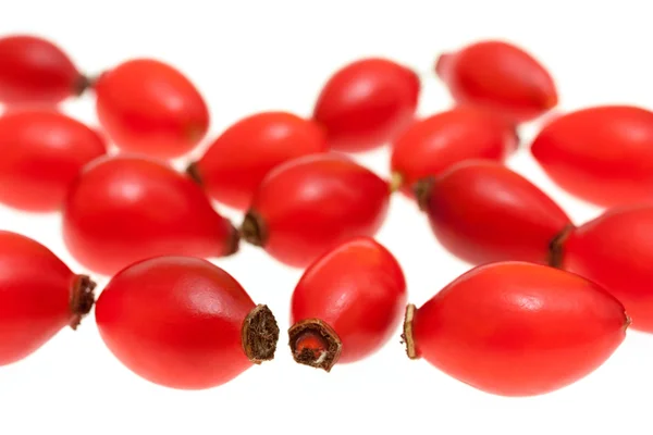 Rosehip — Stock Photo, Image