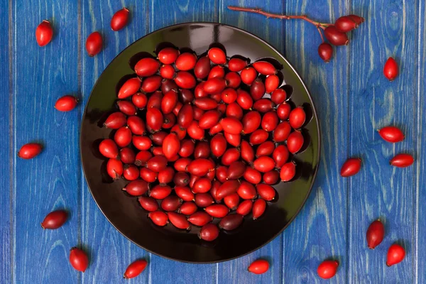 Rosehip — Stock Photo, Image