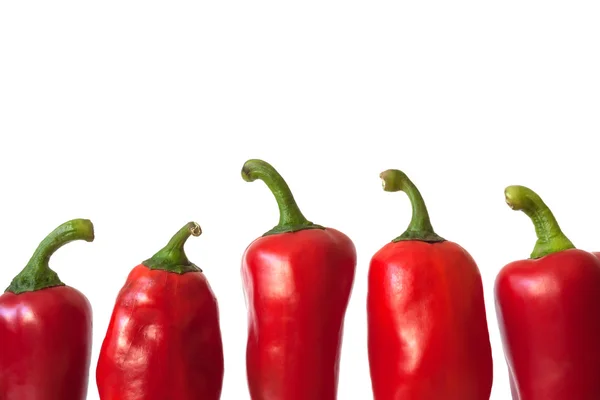 Röd paprika — Stockfoto