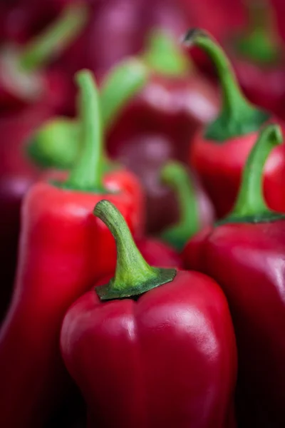 Röd paprika — Stockfoto