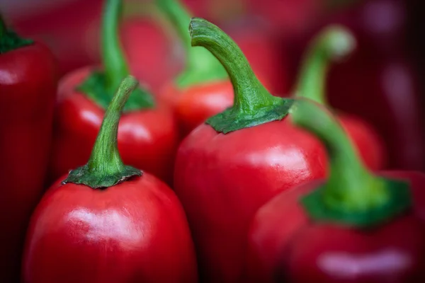 Röd paprika — Stockfoto