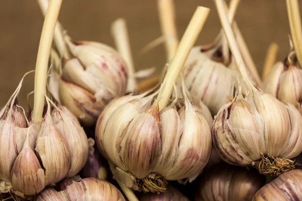 Knoblauch — Stockfoto