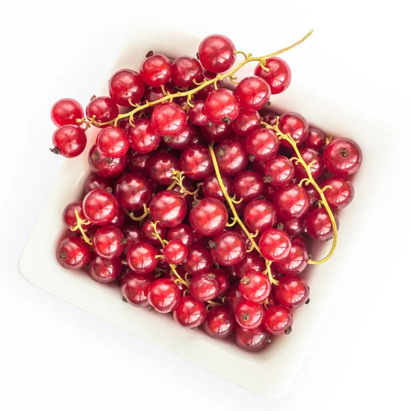Vinbär i en vit skål — Stockfoto
