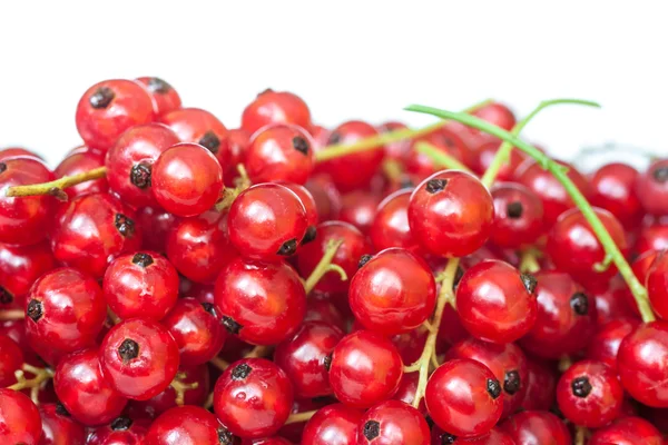 Red currant — Stock Photo, Image