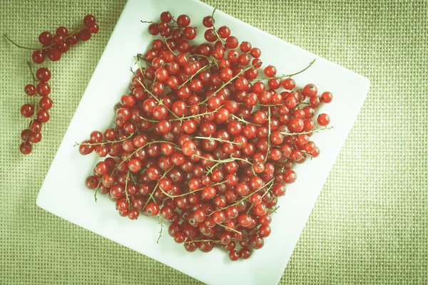 Red currant — Stock Photo, Image