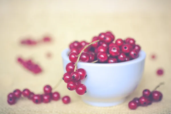 Vintage Red currants — Stock Photo, Image