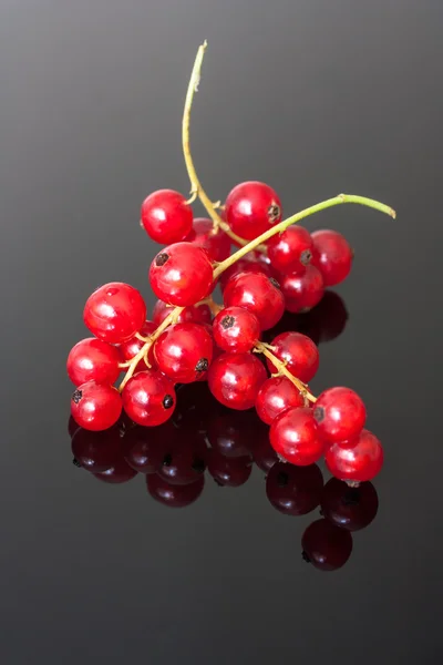 Red currants — Stock Photo, Image