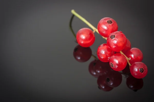 Red currants — Stock Photo, Image