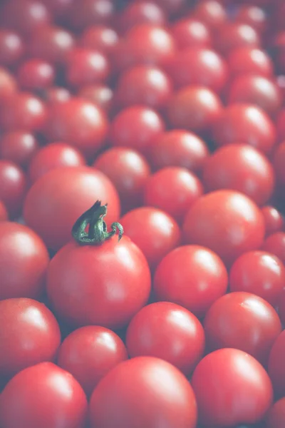 复古的西红柿 — 图库照片