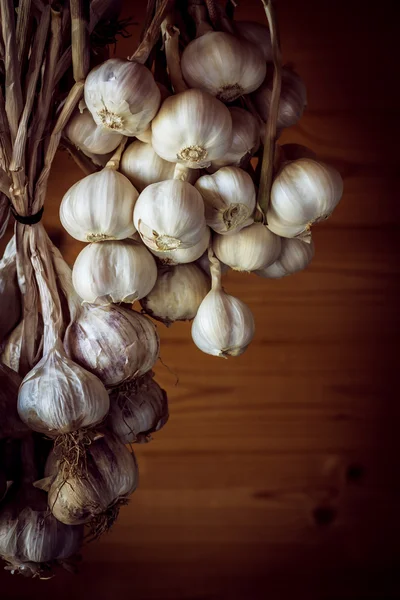 Garlic — Stock Photo, Image