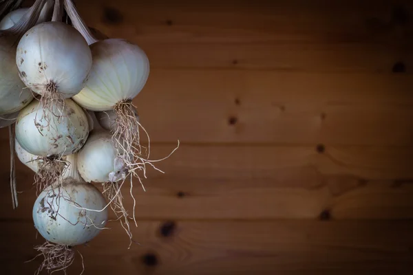 Bunch white  of onions — Stock Photo, Image