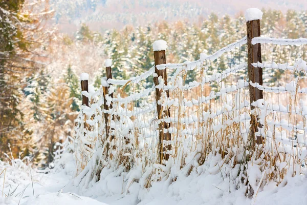 Frozen fence — Stock Photo, Image