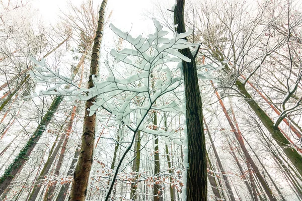 Winterlandschap — Stockfoto