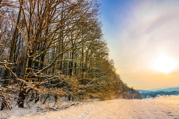 Winter kleuren — Stockfoto