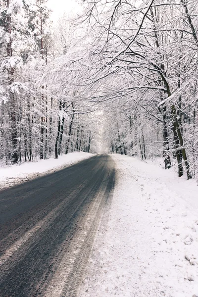 冬の道 ストック写真
