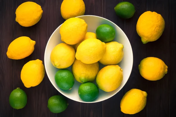 Limetten und Zitronen lizenzfreie Stockfotos