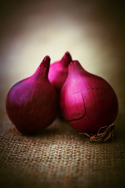 Rote Zwiebel — Stockfoto