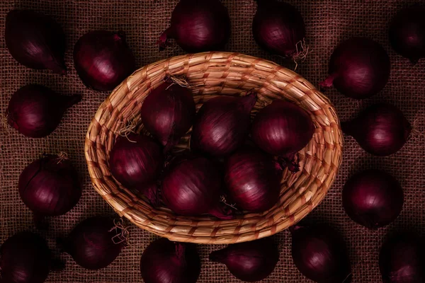 Rote Zwiebel — Stockfoto