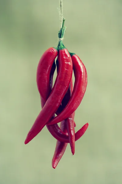 Röd paprika — Stockfoto