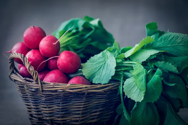 Radishes — Stock Photo, Image