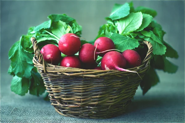 Radishes in a basket — Stock Photo, Image